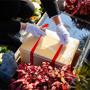 礼仪服务--福佑千秋-图集-5